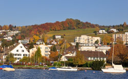 vinmarkerne